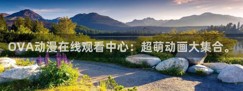 51动漫网址：OVA动漫在线观看中心：超萌动画大集合。