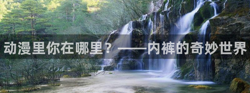 51动漫老版本的特点：动漫里你在哪里？——内裤的奇妙世界