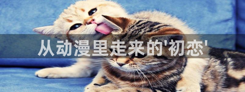 51动漫最新版怎么下载：从动漫里走来的\'初恋\'