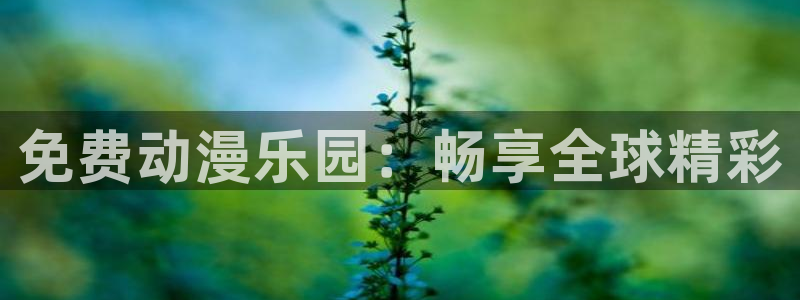 51动漫网在线：免费动漫乐园：畅享全球精彩