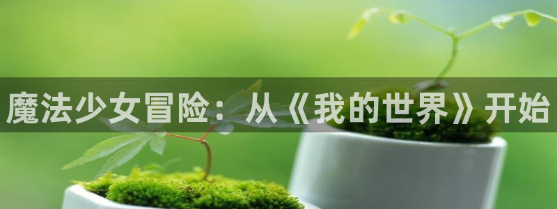 51动漫app官网：魔法少女冒险：从《我的世界》开始